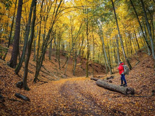 Wandern im Naturpark Märkische Schweiz im Herbst in Märkisch Oderland