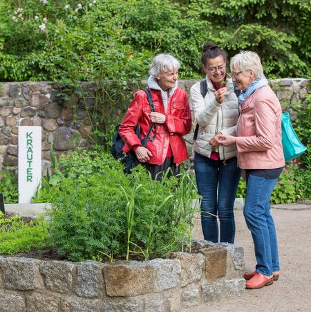 3 Frauen stehen im Kräutergarten in Buckow