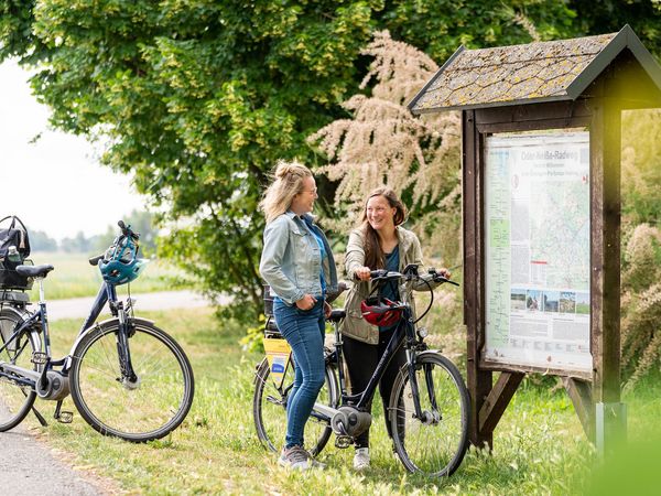 Radfahrerinnen auf dem Oderdeich bei Groß Neuendorf im Oderbruch in Märkisch Oderland