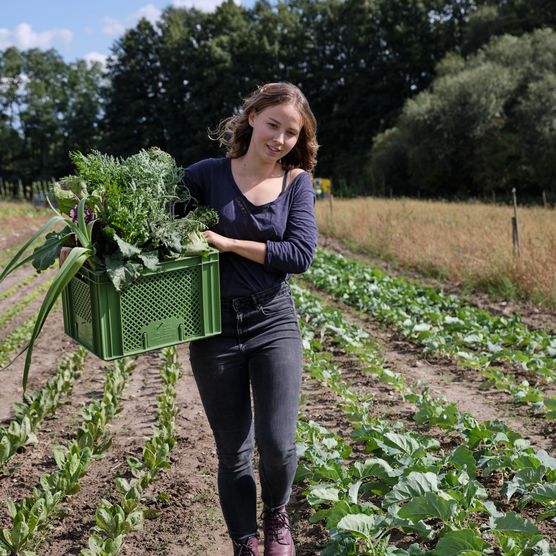 Mitarbeit auf dem Feld von PlantAge aus Frankfurt (Oder)