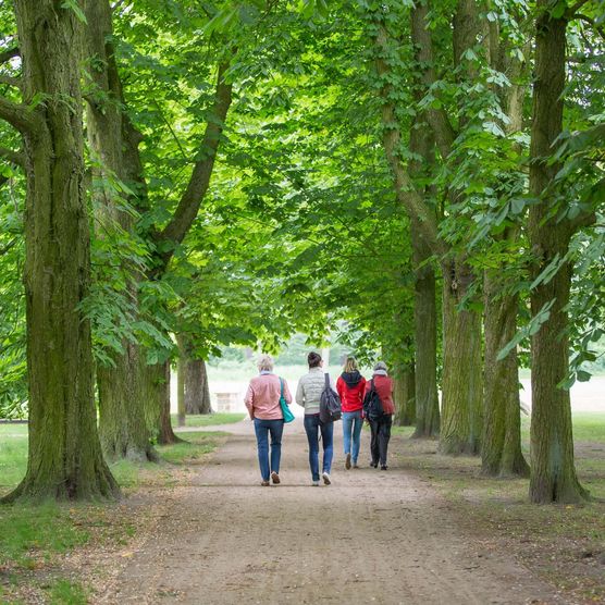 Einige Menschen spazieren durch den Schlosspark Neuhardenberg